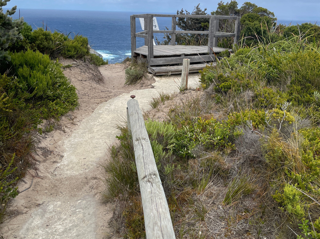 Sharp Point-奥尔巴尼必去景点