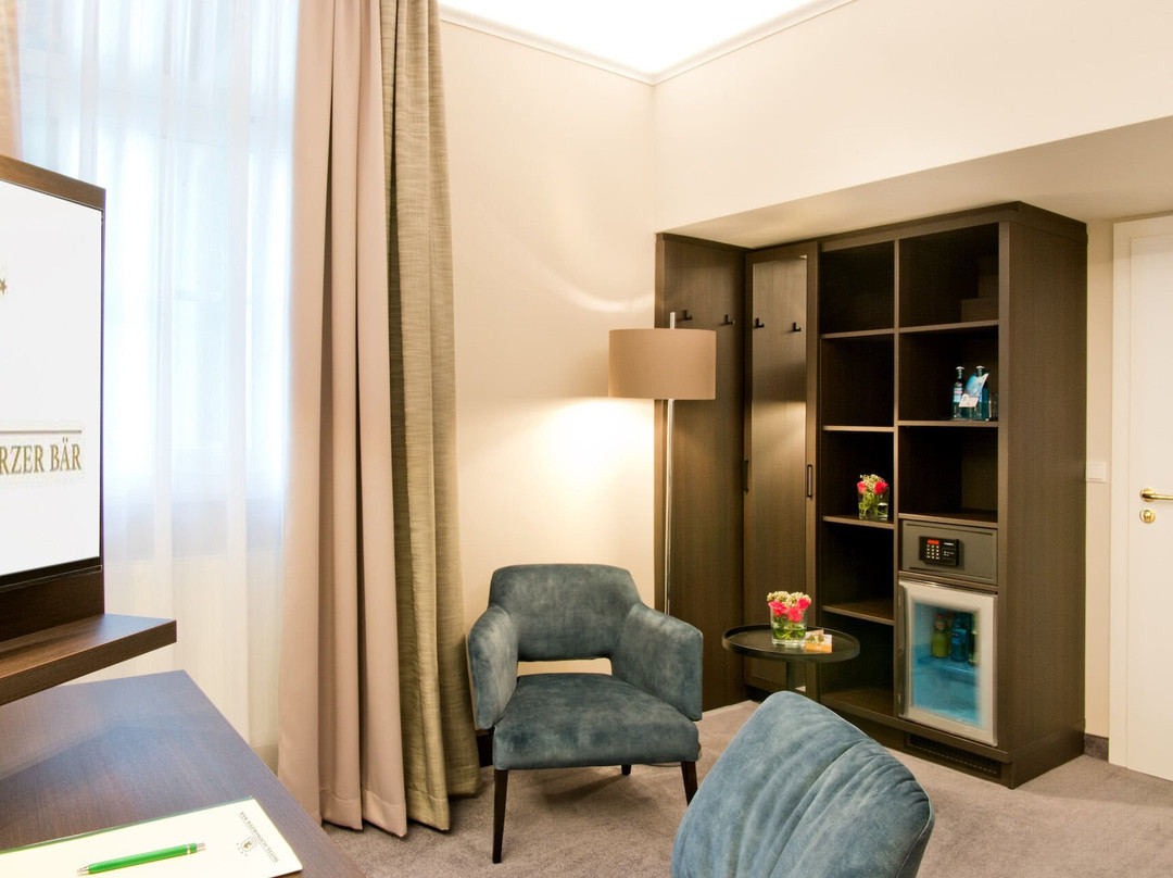 Hotel Schwarzer Baer主图