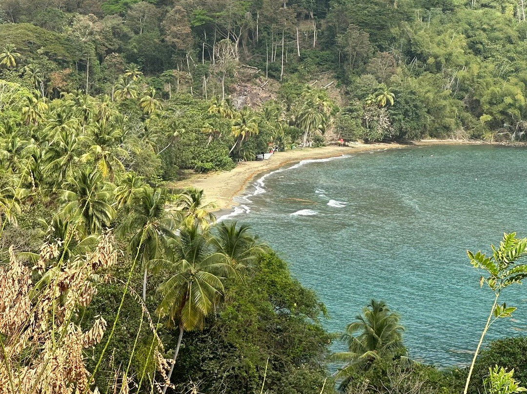 Unique Tours Tobago -Tours-斯卡伯勒必去景点