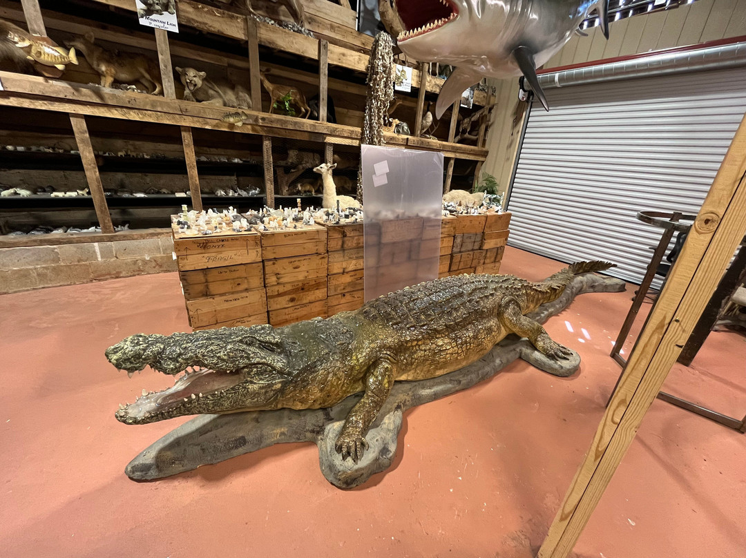 Treasure Trove Park-Cave City必去景点