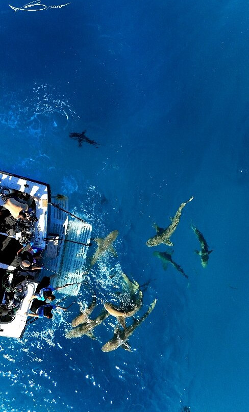 Great Xplorers-Eusebio必去景点