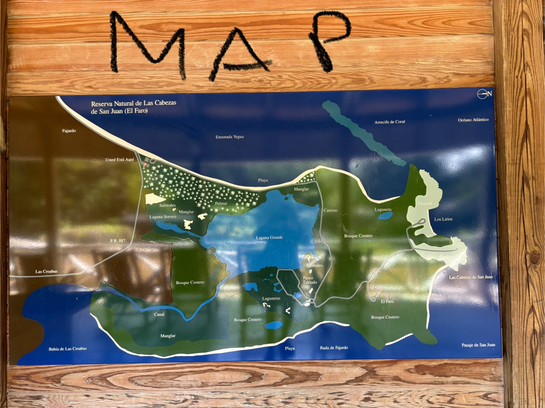 Reserva Natural Cabezas de San Juan-Las Croabas必去景点