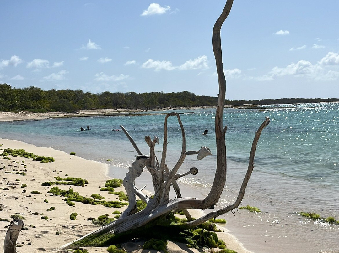 Authentique Excursion-Sainte-Anne必去景点