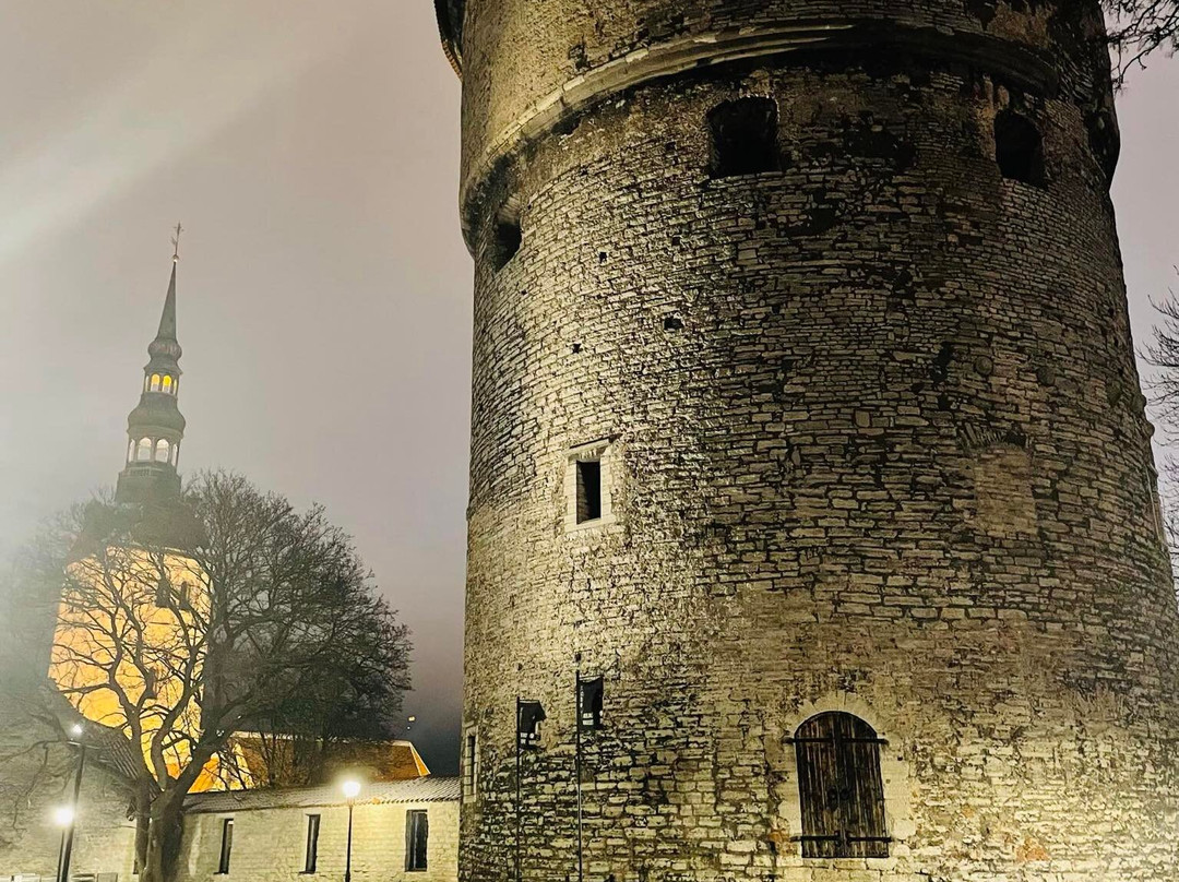 Solidride Oü-Joelaehtme必去景点