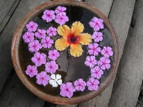 塔拉拉秘密湾酒店主图