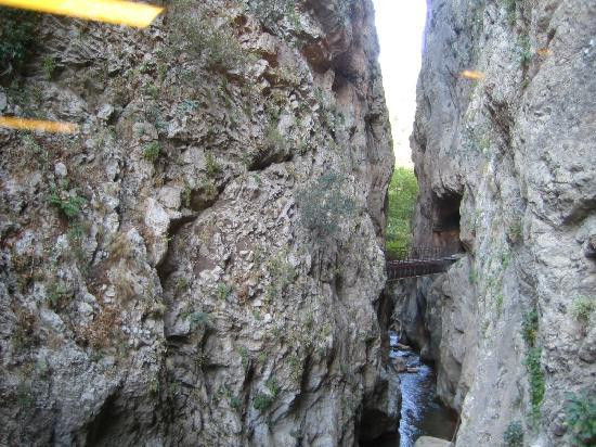 Chris Paul Hotel主图