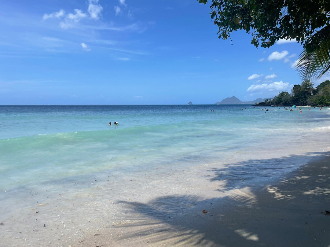 Anse Figuier-Riviere-Pilote必去景点