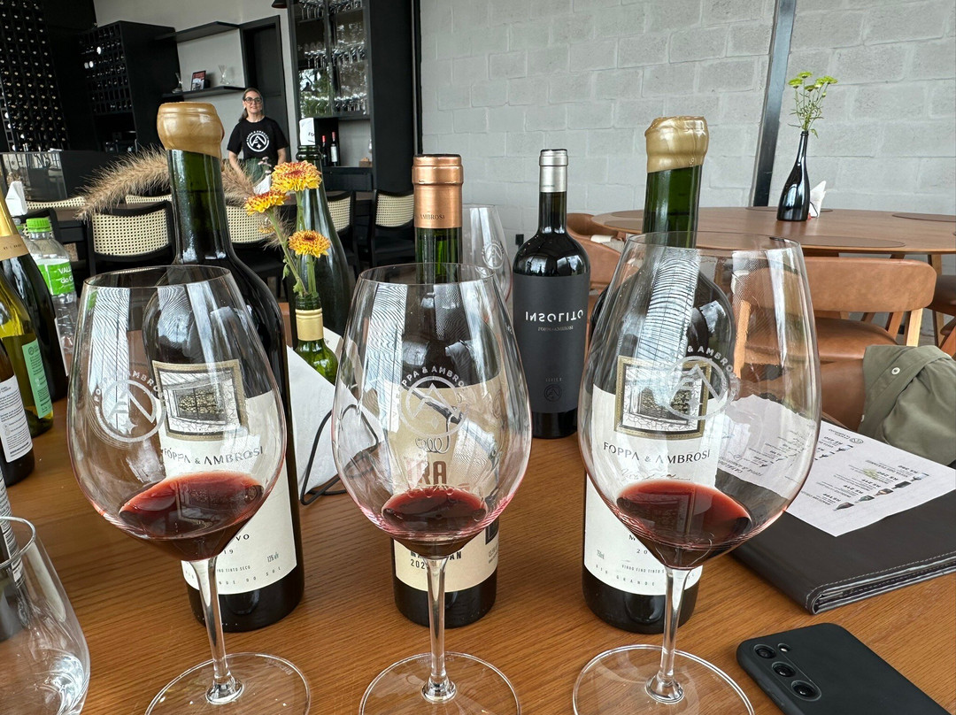 Vinícola Foppa & Ambrosi景点图片
