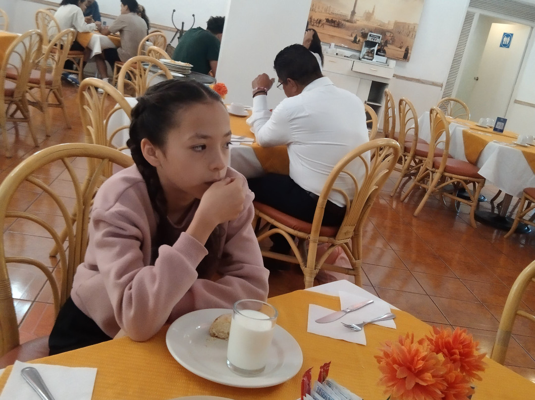 Hotel Mision Aguascalientes Sur主图