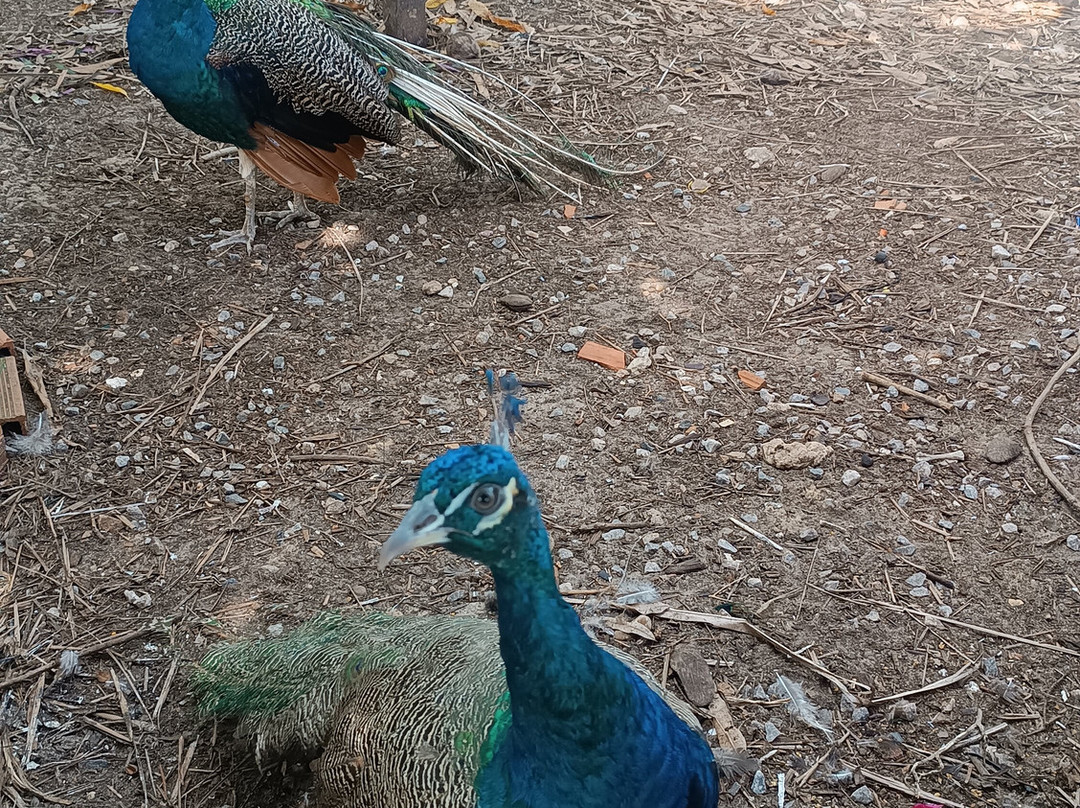 Pousada Casa do Alemao主图