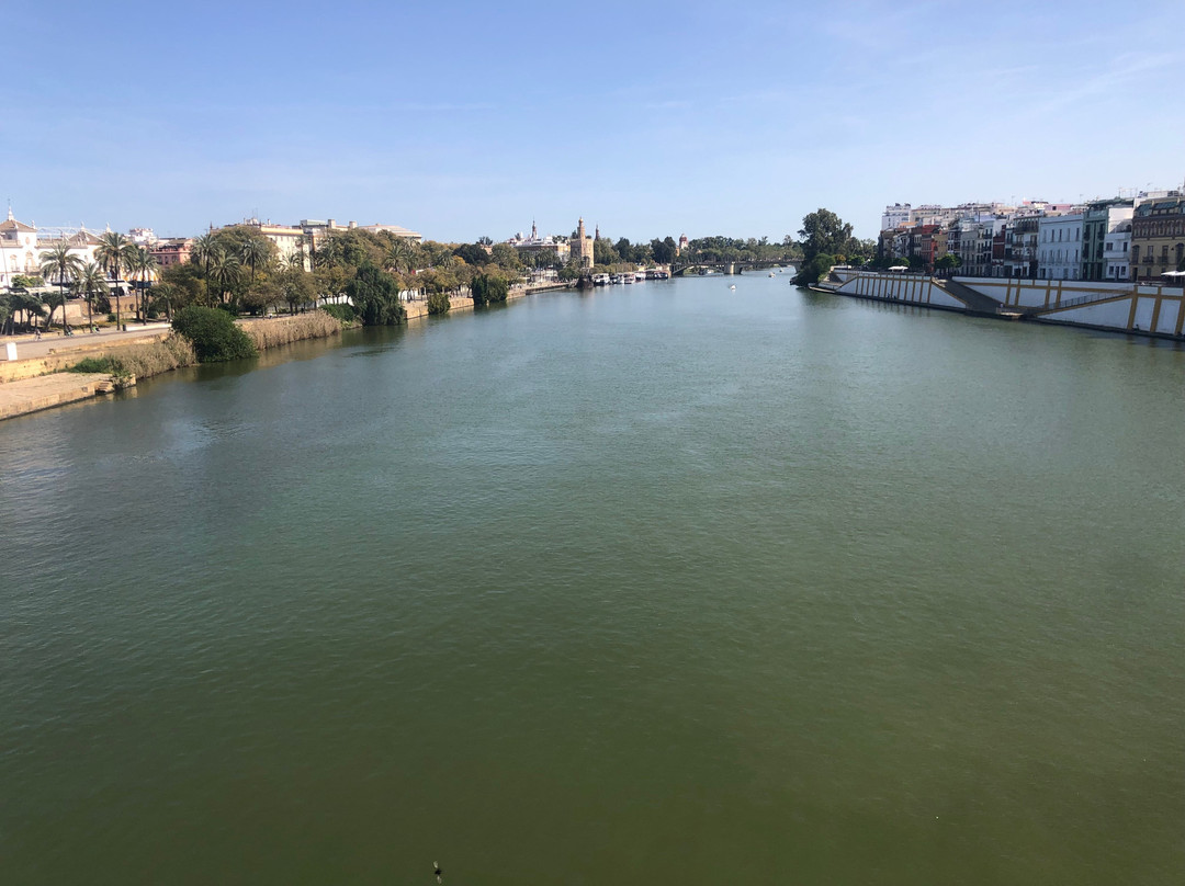 伊莎贝尔二世桥-塞维利亚必去景点