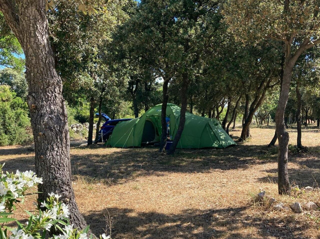 Camping Sugar