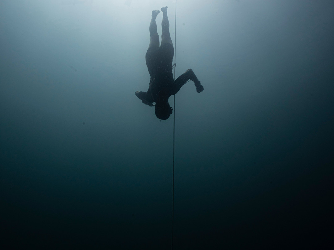 Freedivinglife Riviera Maya-普拉亚德尔卡曼必去景点