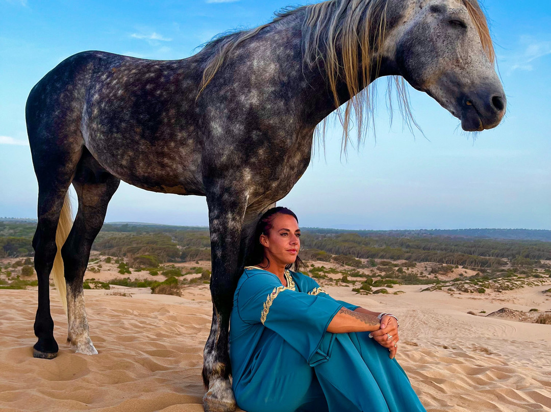 Ocean Ranch Essaouira-索维拉必去景点