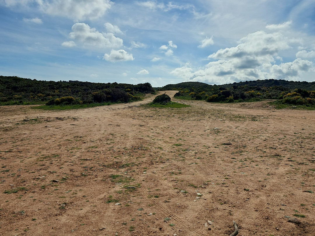Plage de Balistra景点图片