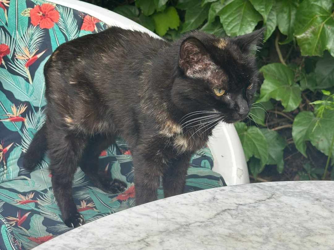 布宜诺斯艾利斯家园酒店主图