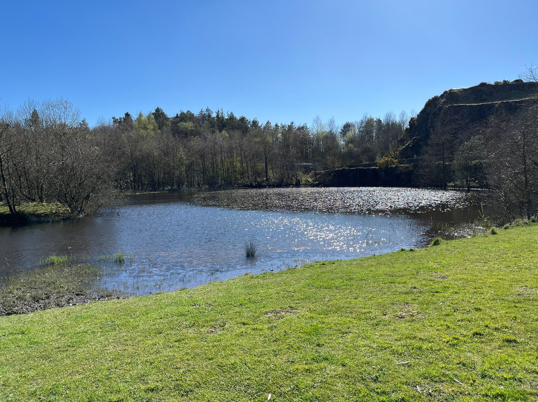 Walltown Country Park-Greenhead必去景点