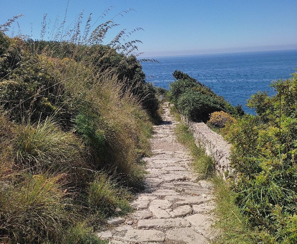 Punta Campanella-马萨卢布伦塞必去景点
