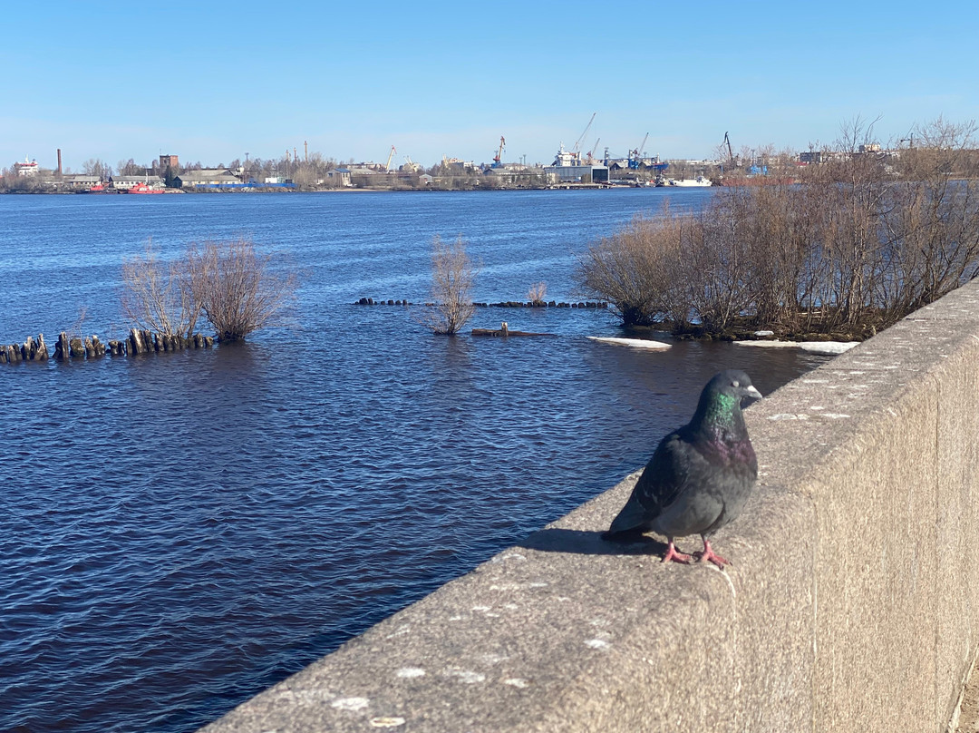 Severnaya Dvina Embankment-阿尔汉格尔斯克必去景点