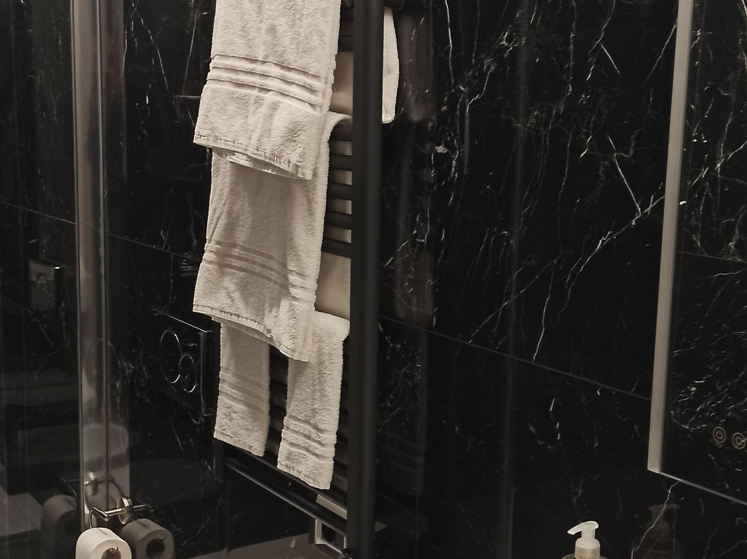 德利阿米奇酒店主图