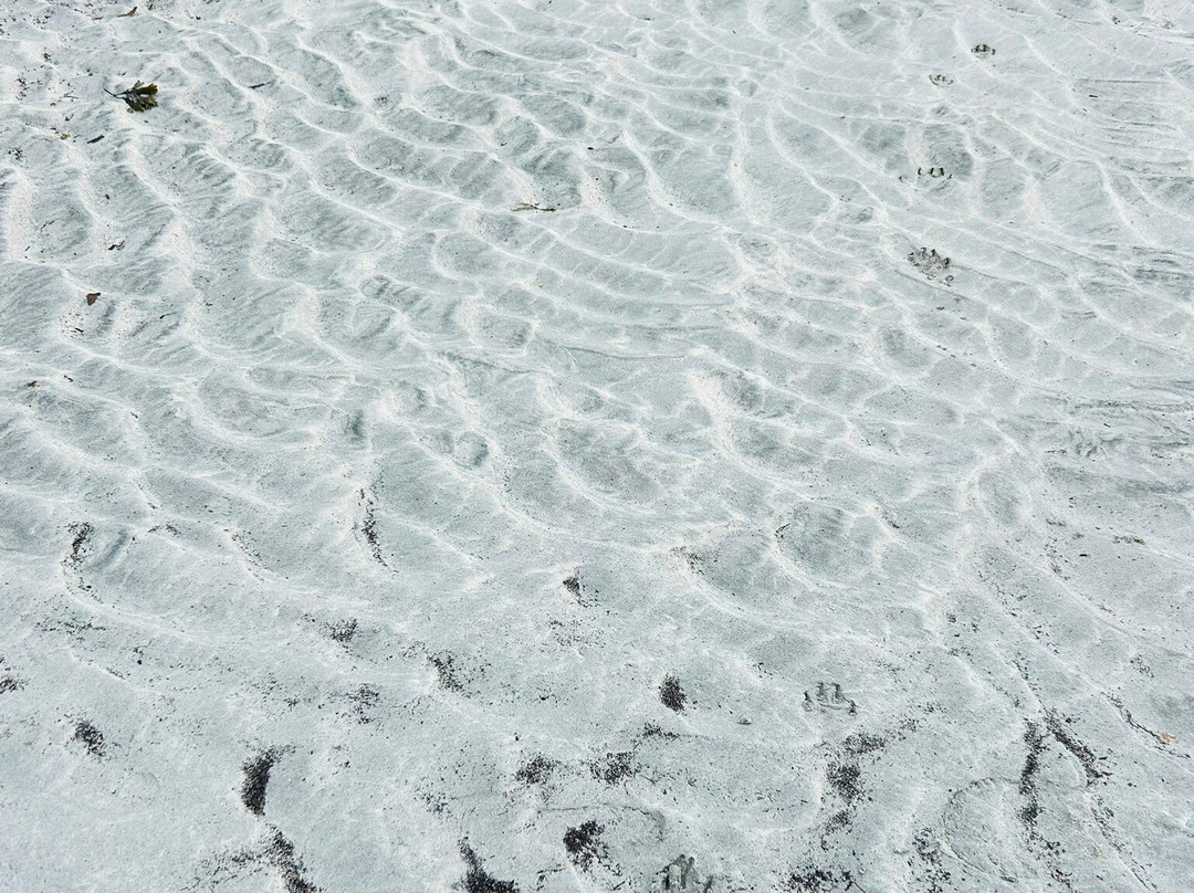 Calgary Beach景点图片