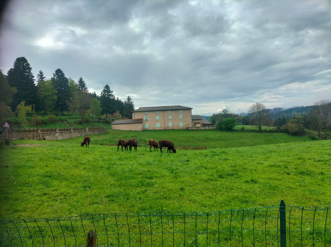 Hotel La Clairiere主图