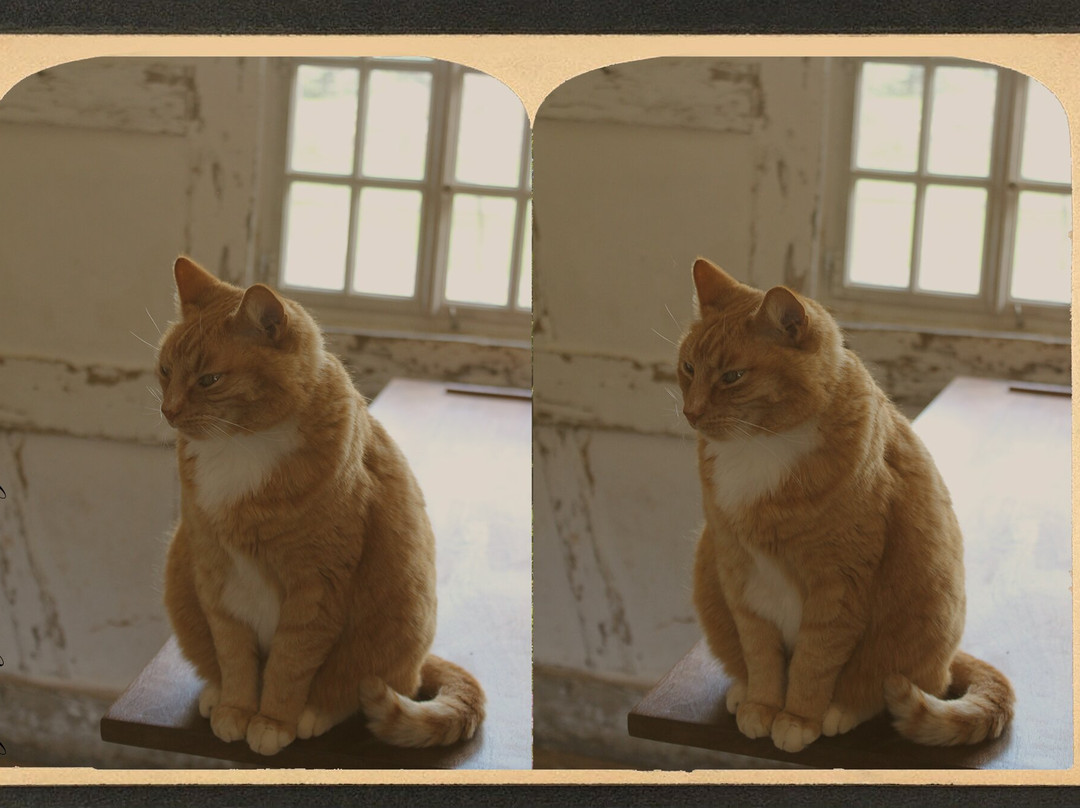 Frontier Culture Museum-斯汤顿必去景点