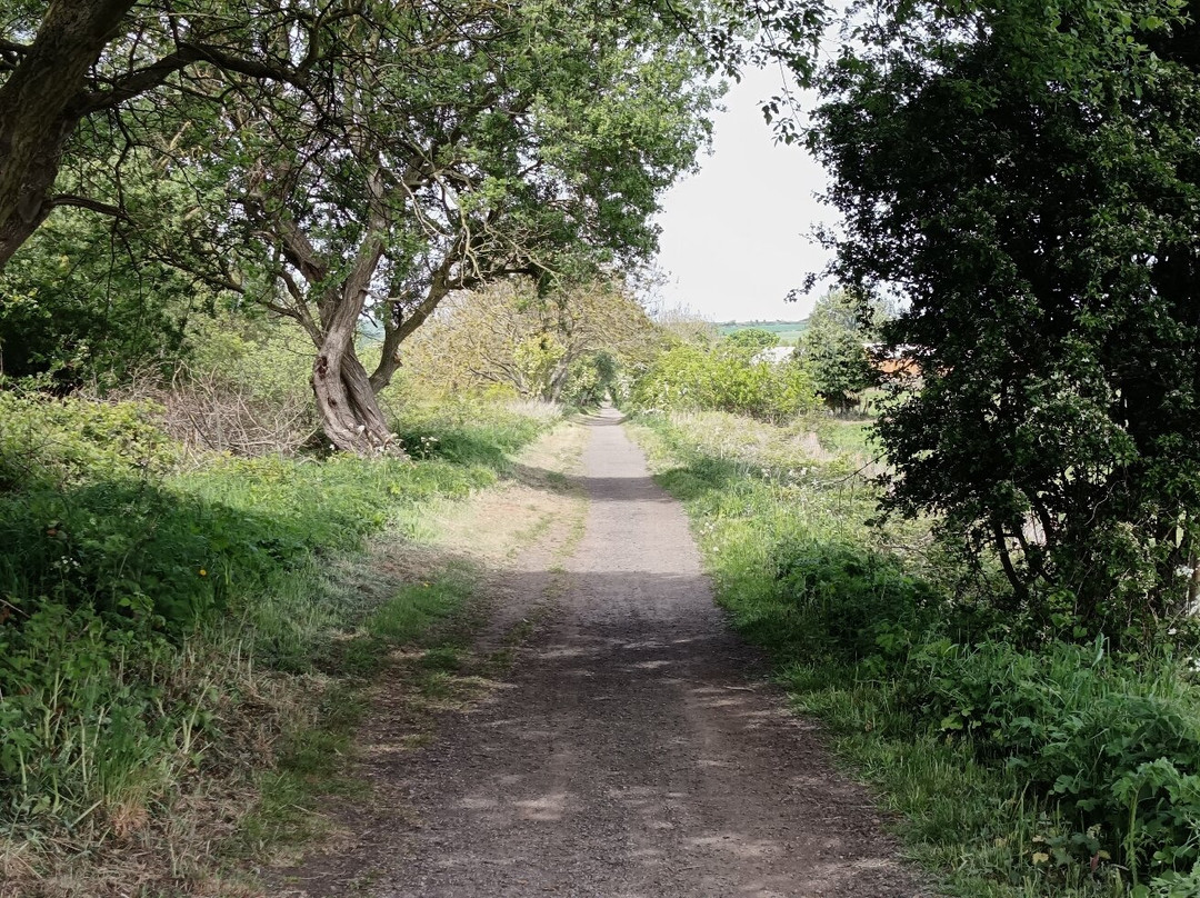 Scarborough to Whitby Rail Trail-斯卡伯勒必去景点