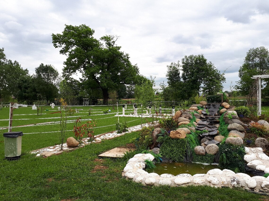 Mini-golf