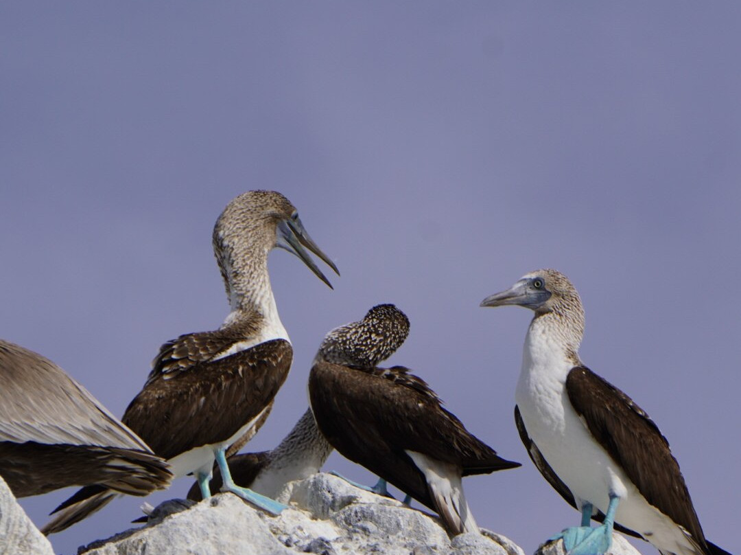 The Hook Experiences-拉巴斯必去景点