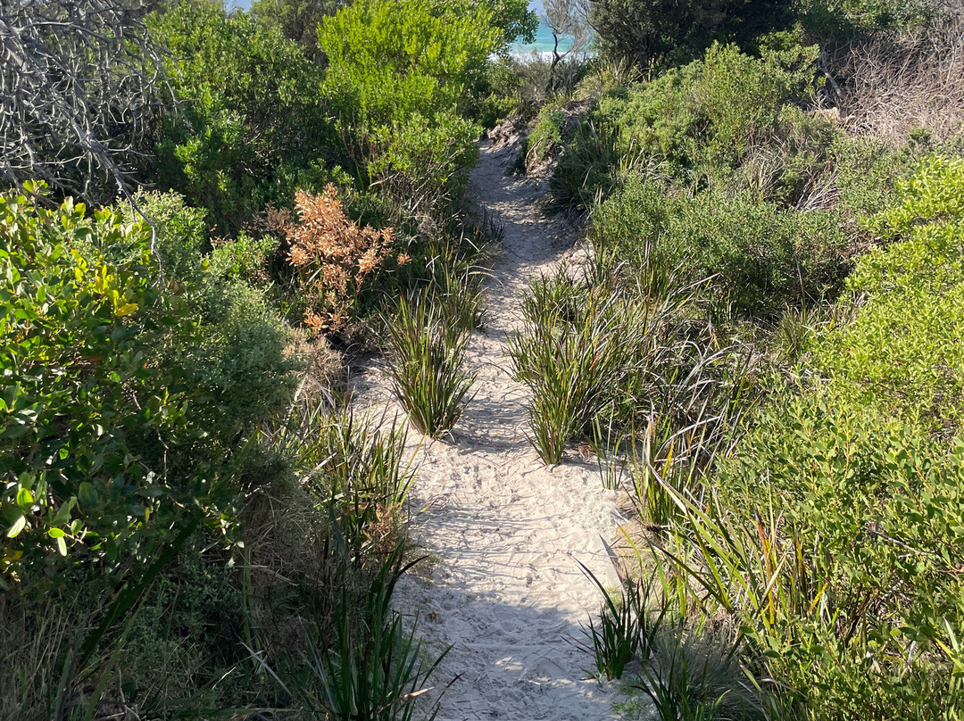 Redbill Beach-比奇诺必去景点