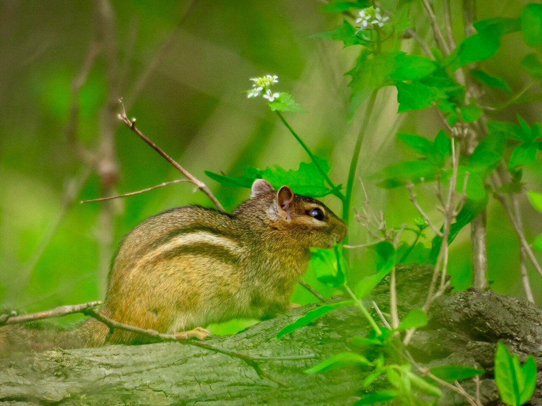 The Grove-格伦维尤必去景点