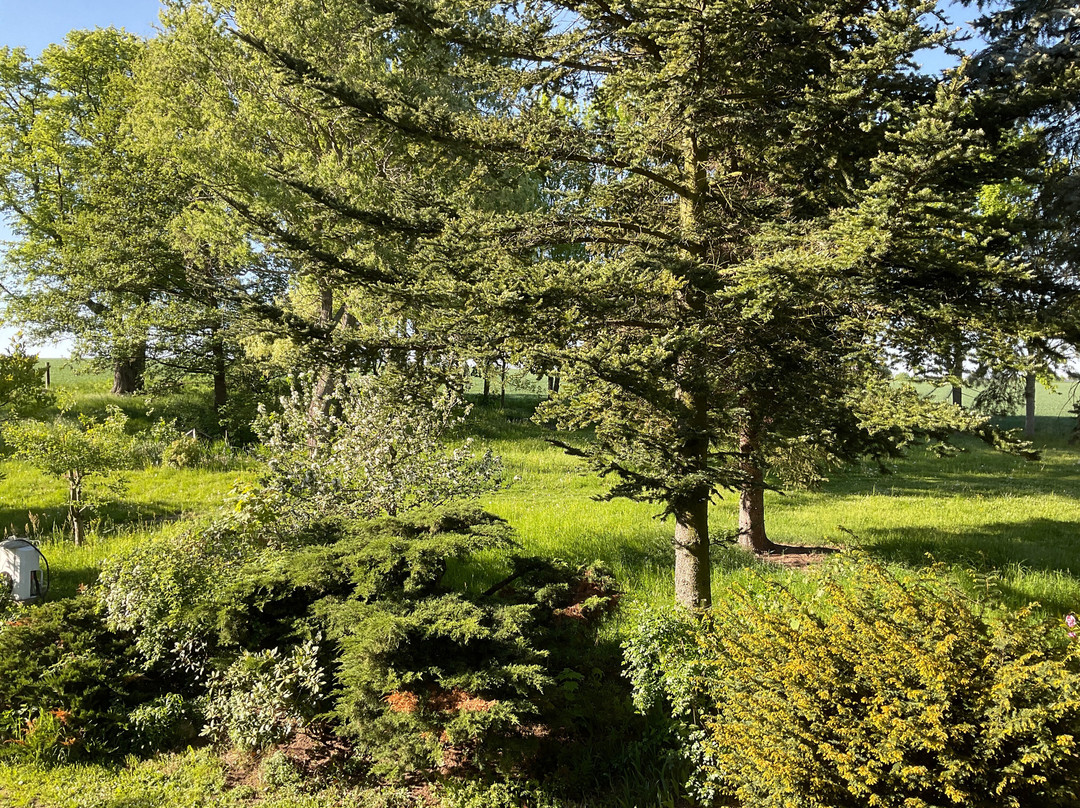 佐尔加藤英克赫兰德酒店主图