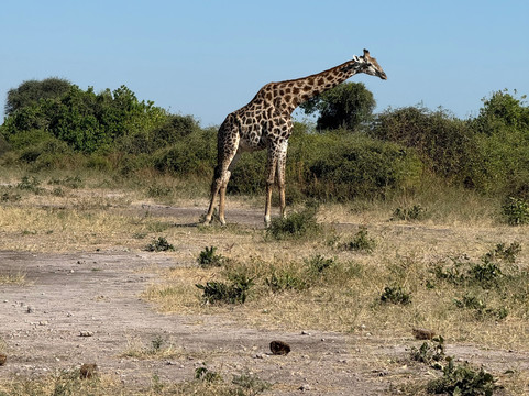 Passionate Tours and Travel-李文斯顿必去景点