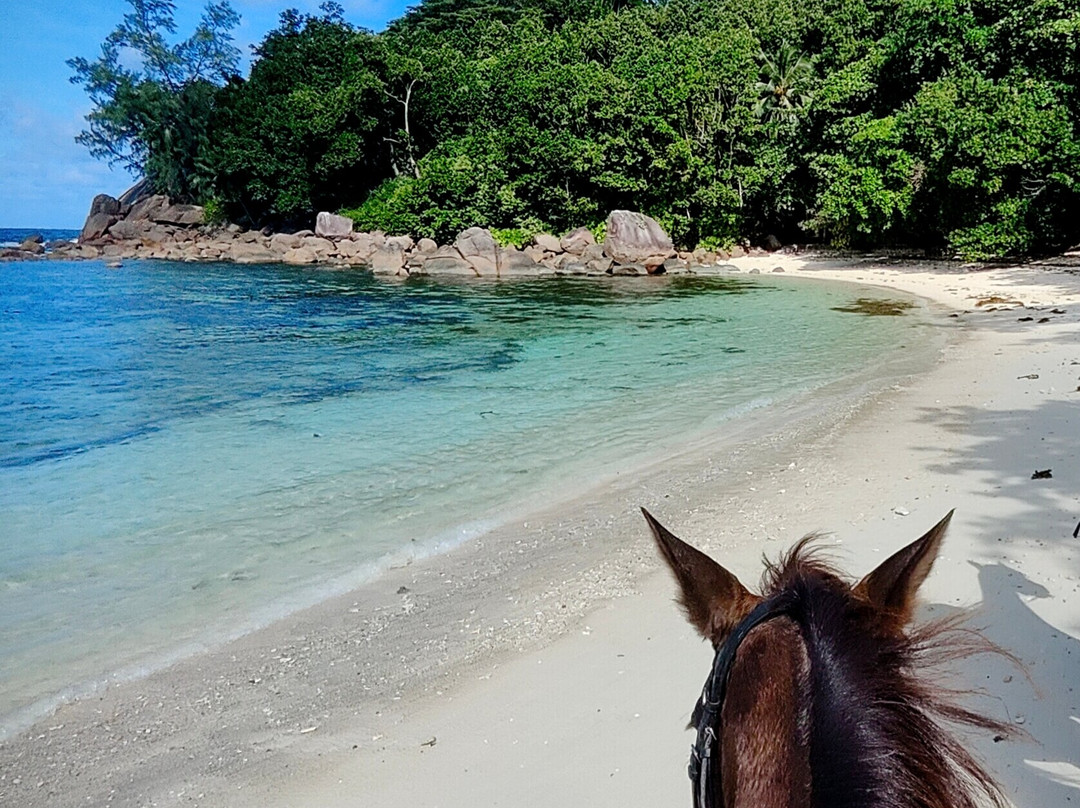 Turquoise Horse Trails-马埃岛必去景点