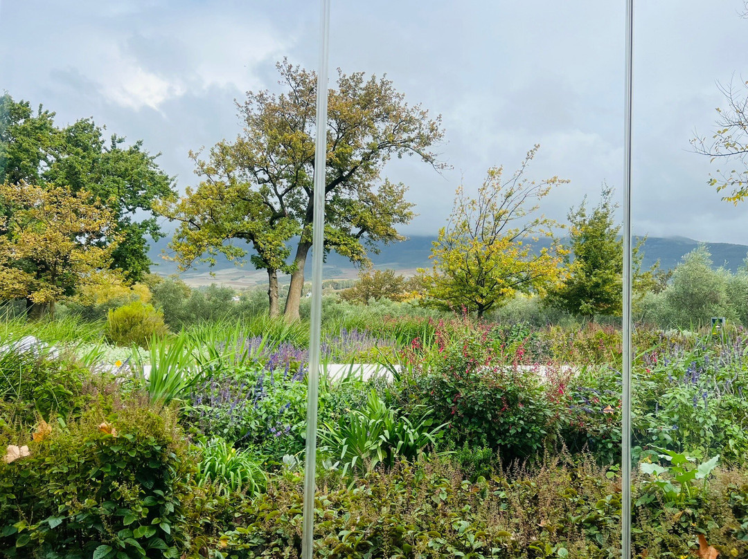 Rupert & Rothschild Vignerons Tasting Centre-Simondium必去景点