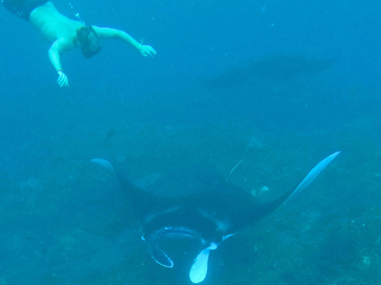 Discover Nusa Penida-珀尼达岛必去景点