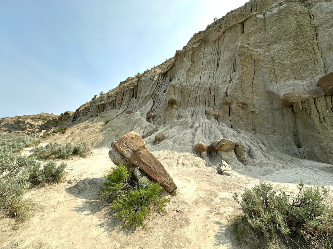 North Unit-Theodore Roosevelt National Park必去景点