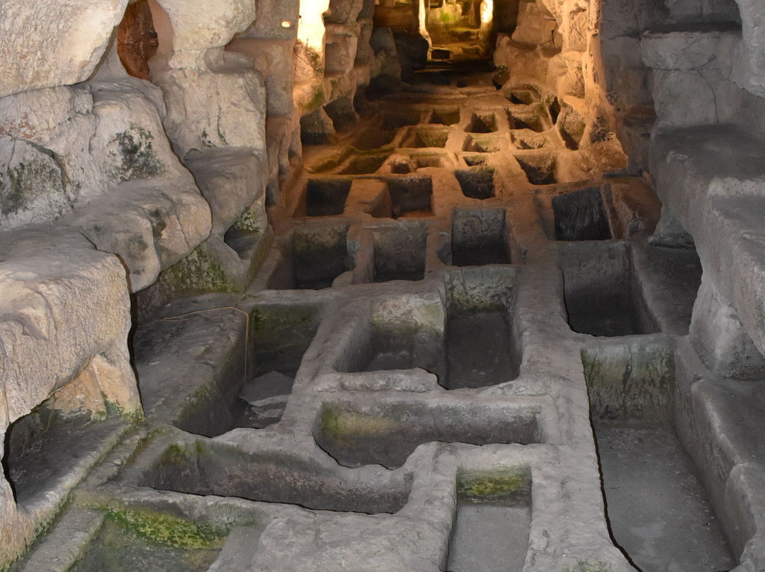 Area Archeologica di Cava d'Ispica-莫迪卡必去景点