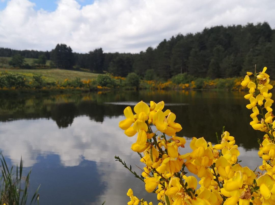 Agriturismo BioSila主图