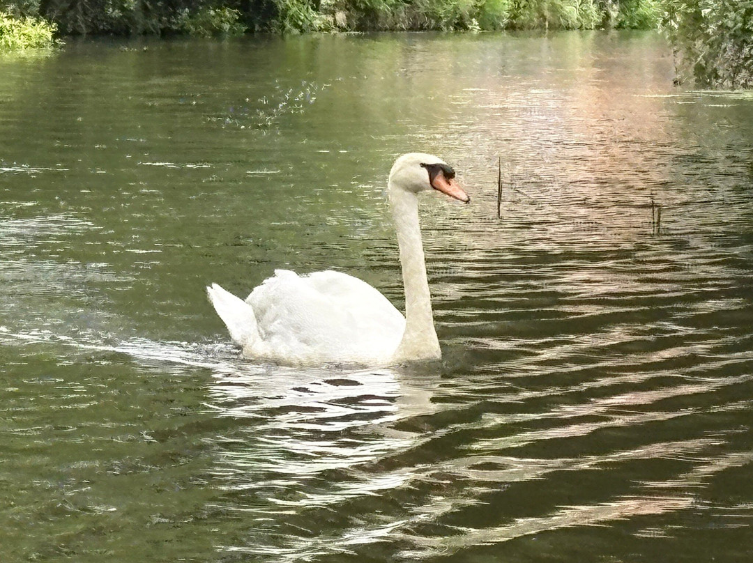 Tonbridge River Trips景点图片