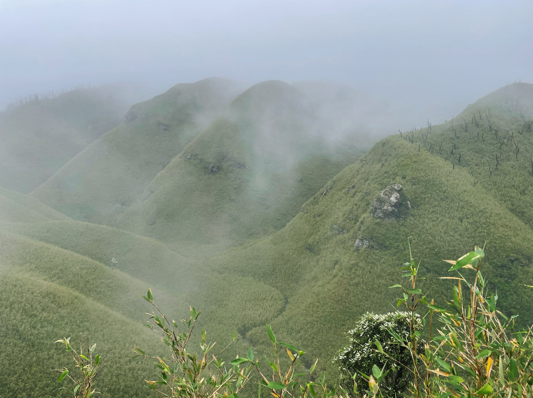 Dzukou Valley景点图片