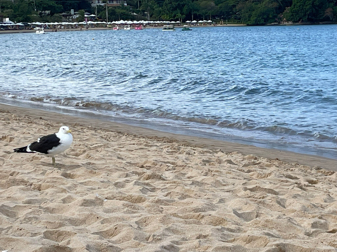 Ferradura Beach-布基亚斯必去景点
