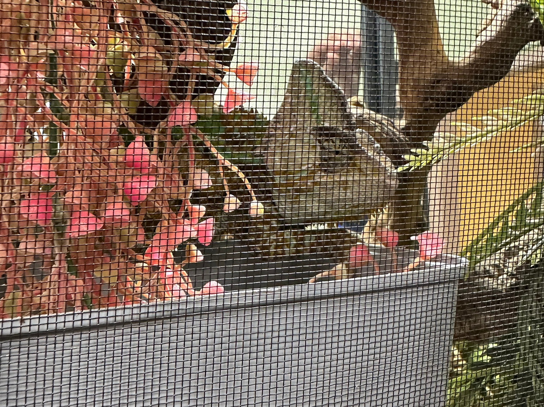Jurupa Mountains Discovery Center-里弗赛德必去景点