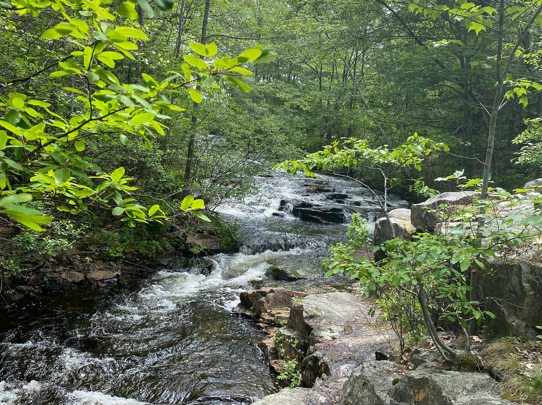 Maine State Kayak & E-Bike景点图片