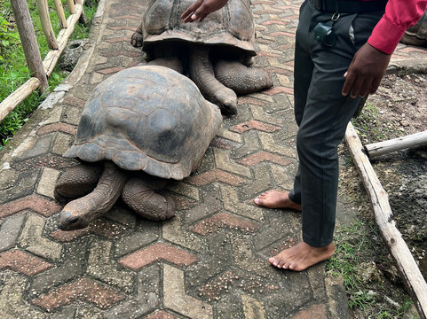 My experiences in Zanzibar-桑给巴尔岛必去景点