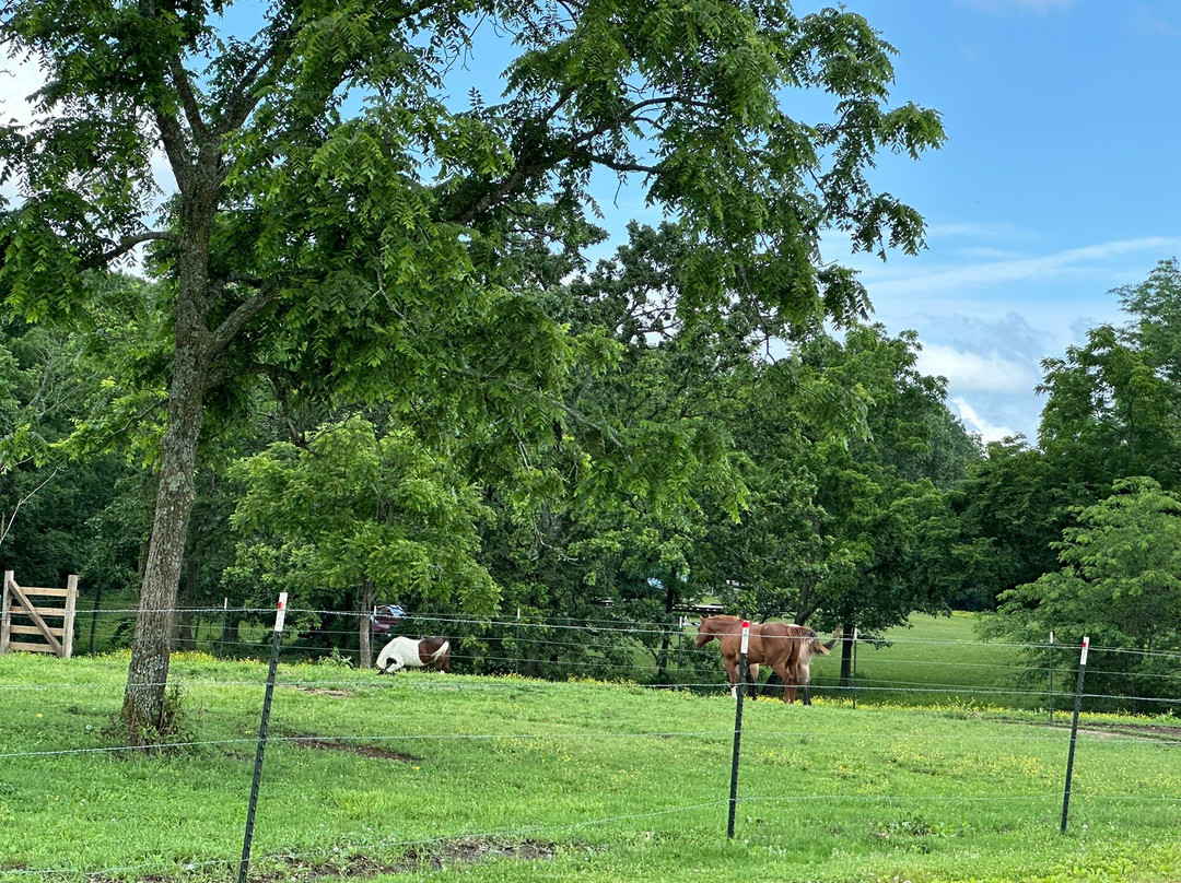 Southern Missouri Off Road Ranch SMORR-Seymour必去景点