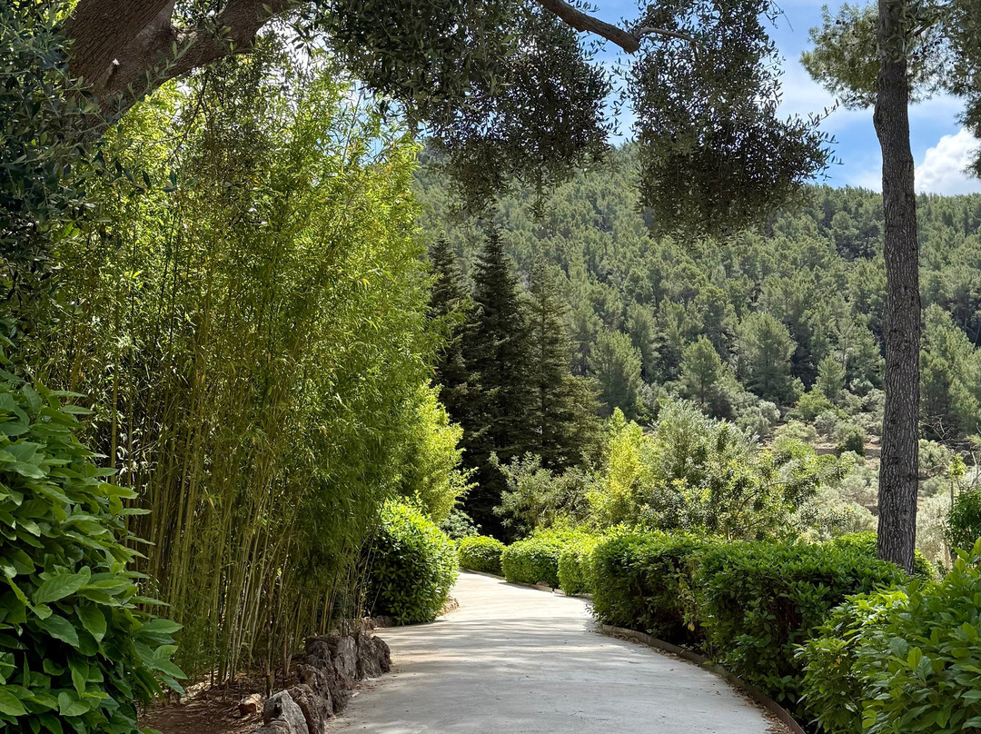 Jardins d'Alfabia景点图片