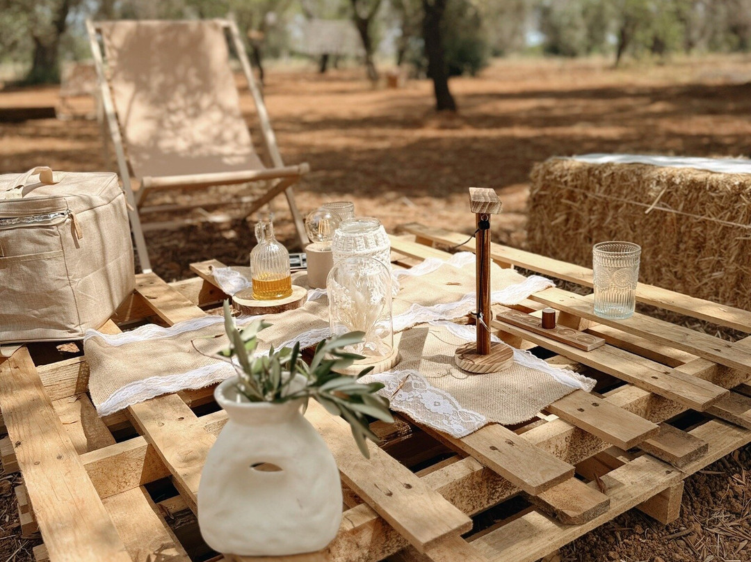 Olive Grove Experience景点图片