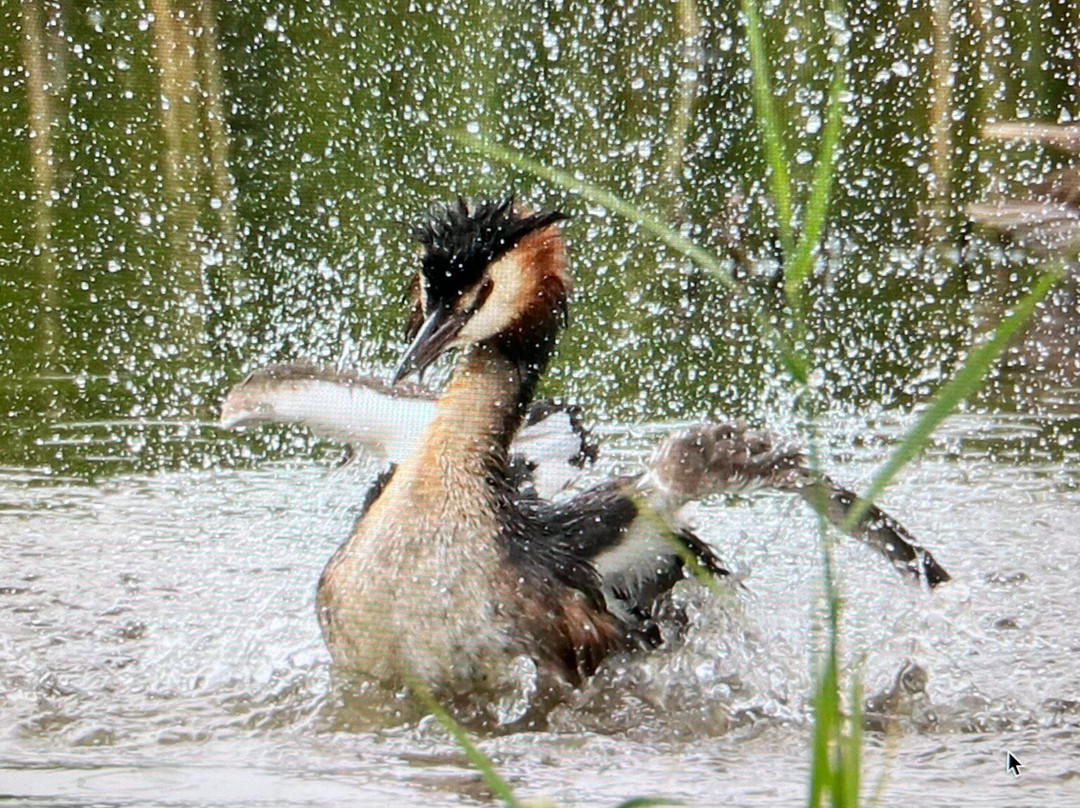 Exmoor Photography Course-迈恩黑德必去景点